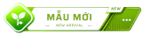 Mẫu mới