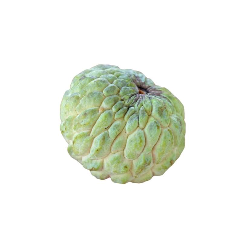 Mãng Cầu Na