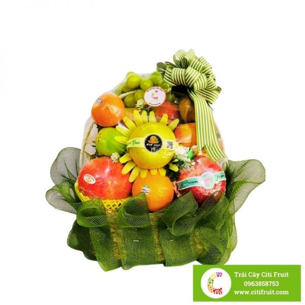 gio-trai-cay-nhap-khau-cao-cap-citi-fruit-1550k-800x800(6)__600x600.jpg