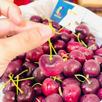 Cherry Úc