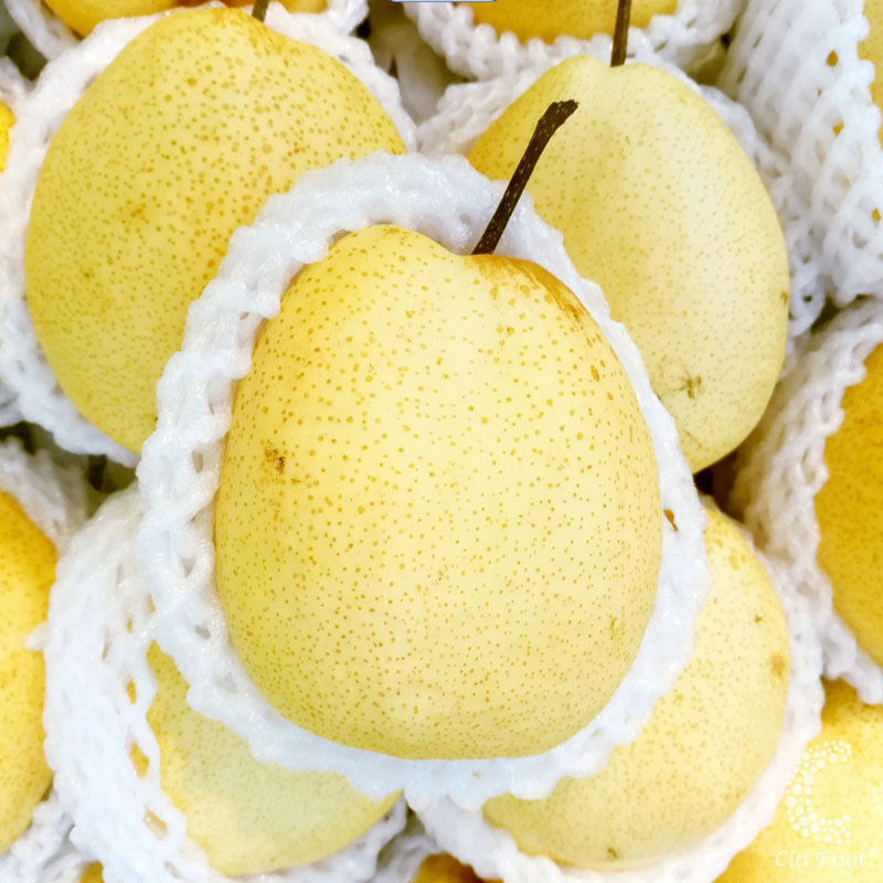 Lê Đường