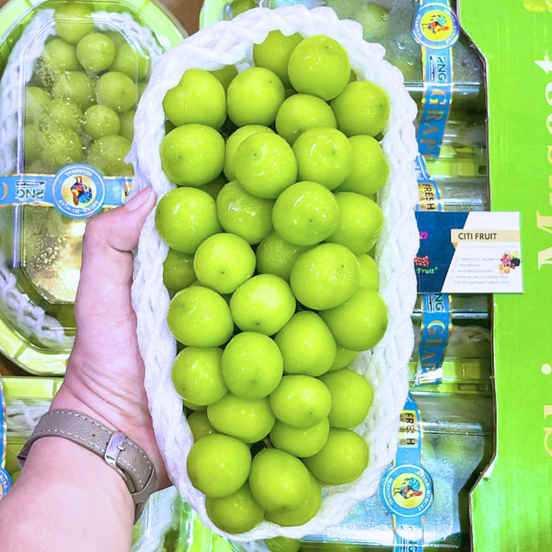 Nho Mẫu Đơn Đài Loan