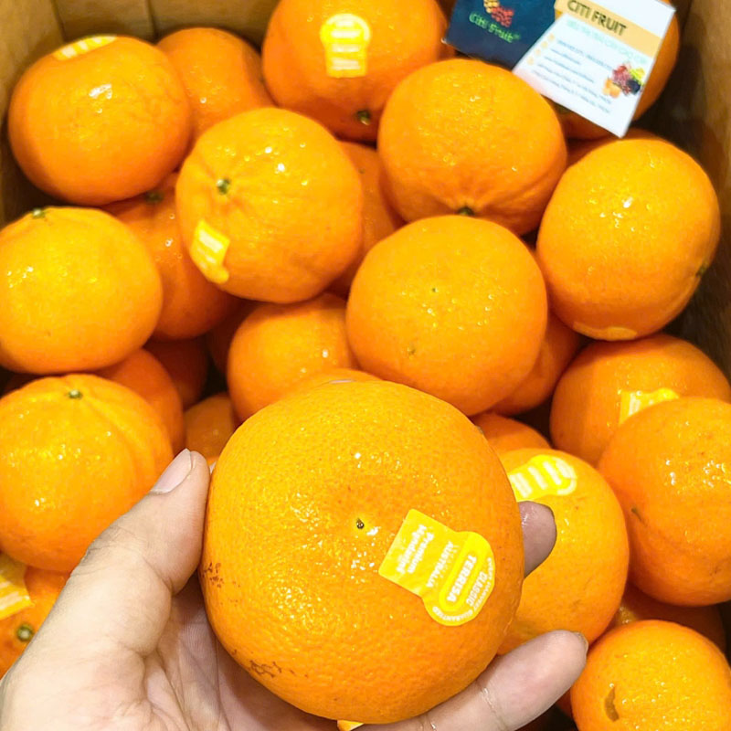 Quýt Úc (Size Lớn)