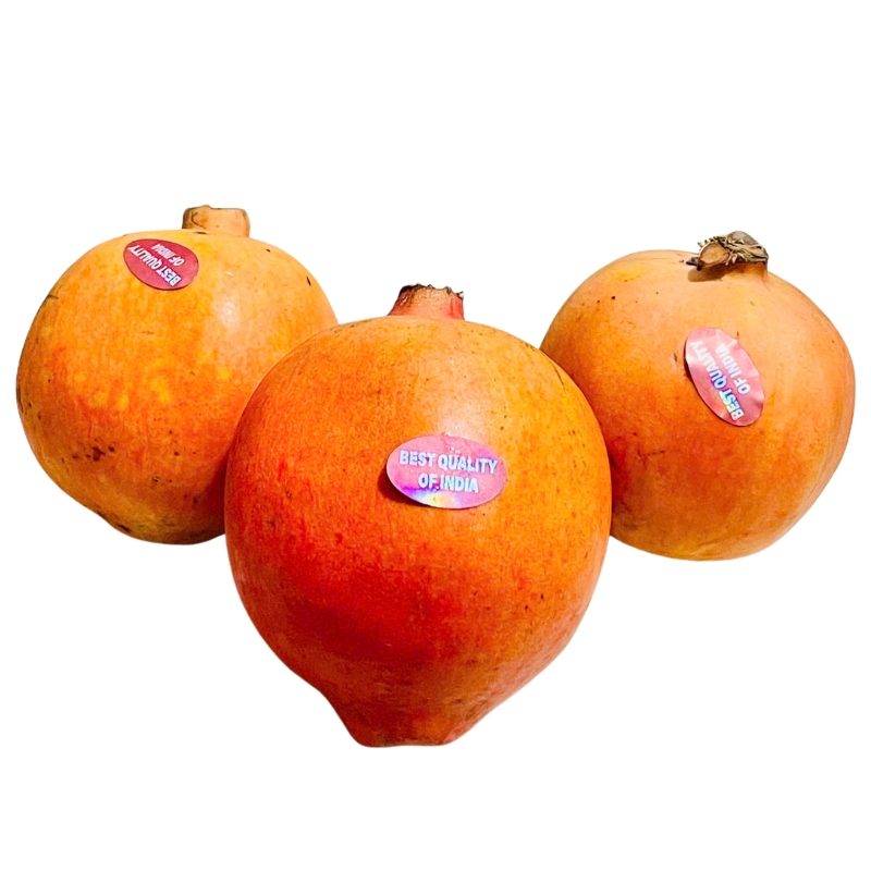 Lựu Đỏ Ấn Độ