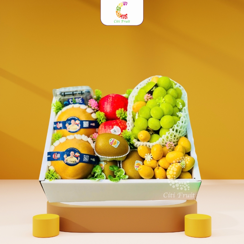 Hộp trái cây quà tặng HC13