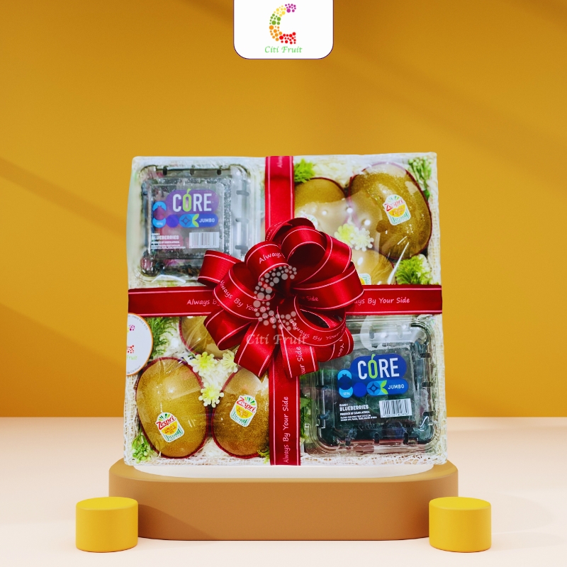 Hộp trái cây quà tặng HC14