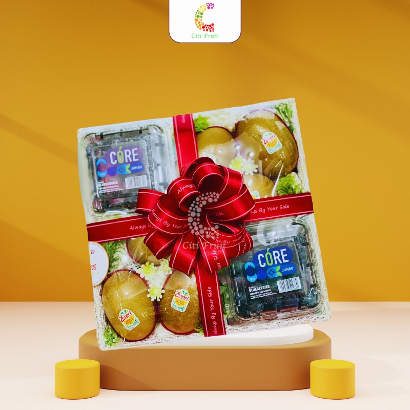 Hộp trái cây quà tặng HC14
