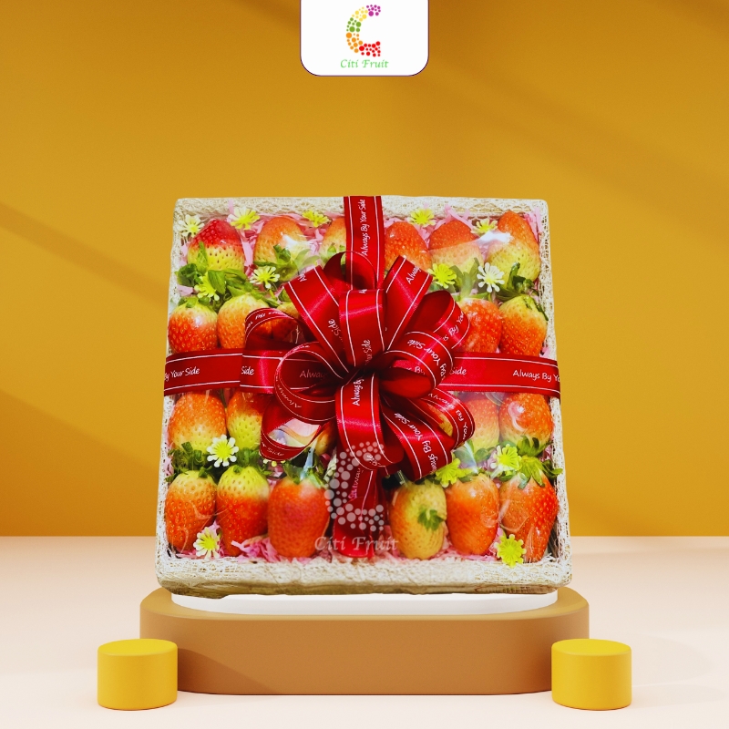Hộp Trái Cây Quà Tặng HC18