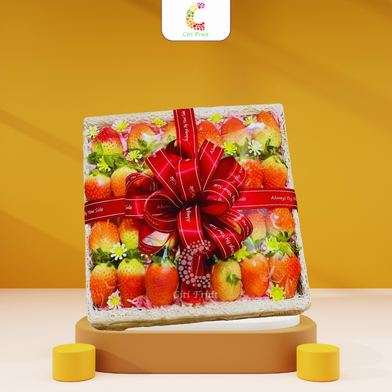 Hộp Trái Cây Quà Tặng HC18