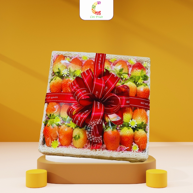 Hộp Trái Cây Quà Tặng HC18