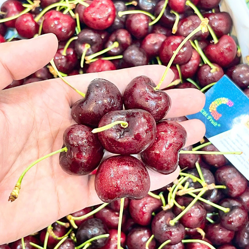 Cherry Đỏ Mỹ