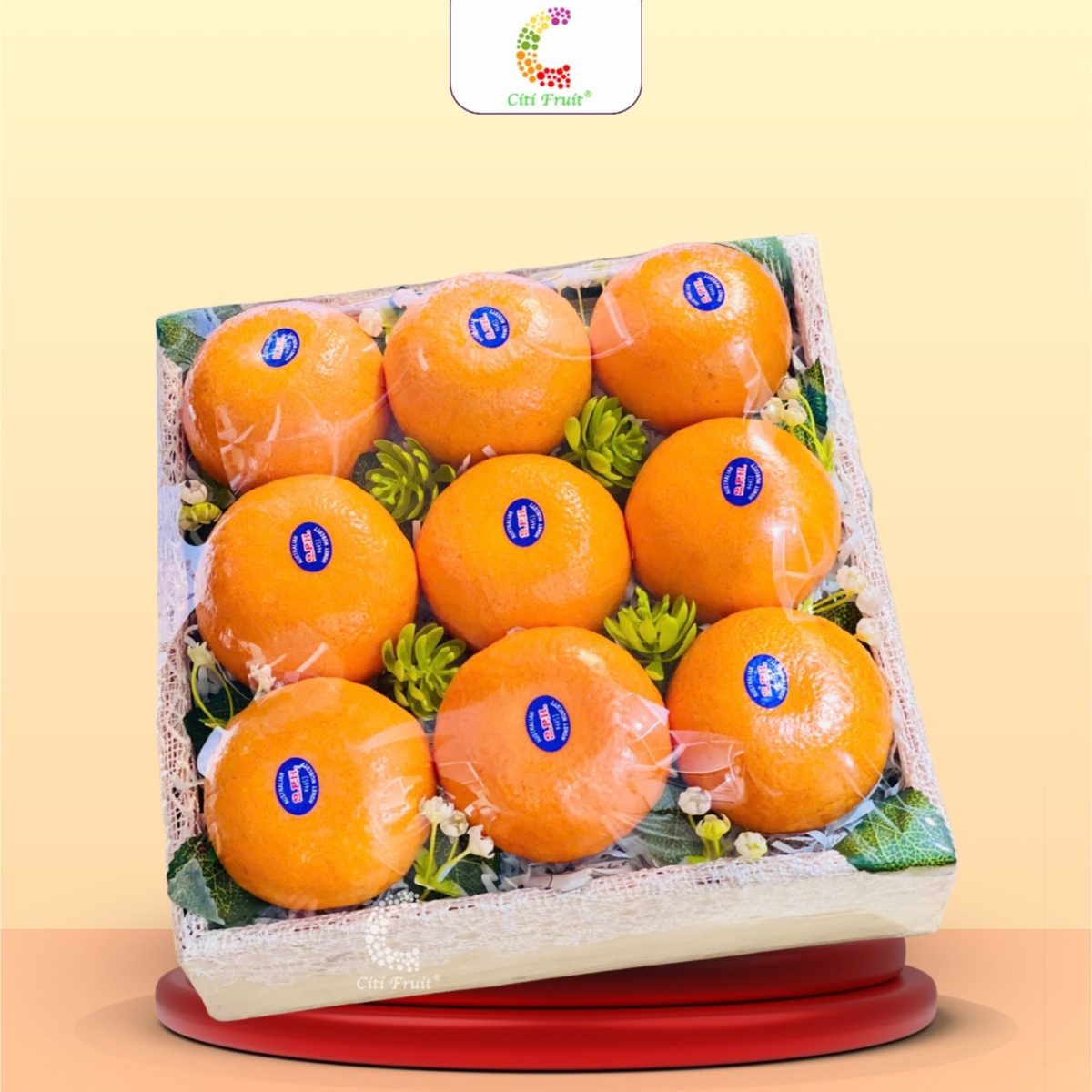 Hộp Trái Cây Quà Tặng HC46