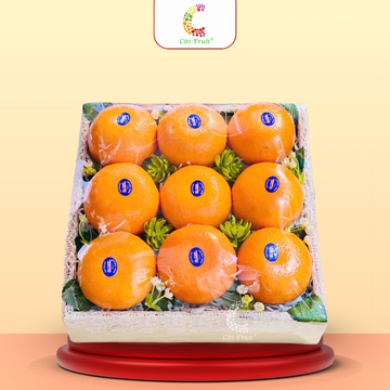 Hộp Trái Cây Quà Tặng HC46