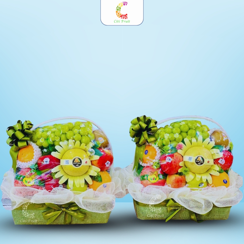 Giỏ Trái Cây Quà Tặng CT100