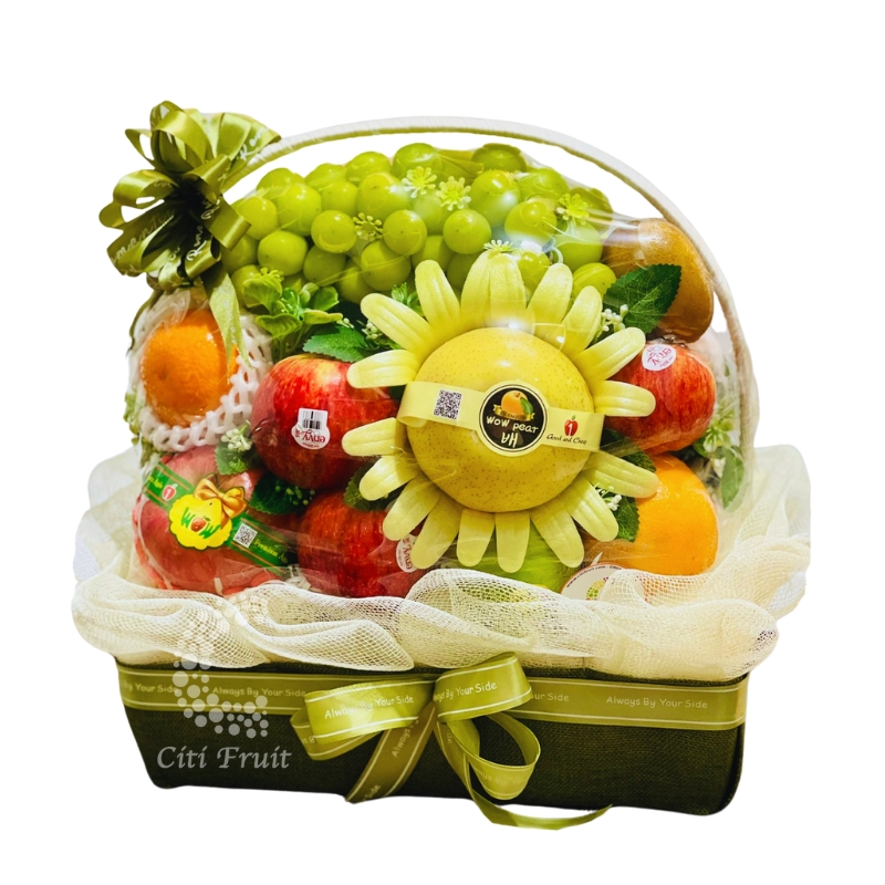 Giỏ Trái Cây Quà Tặng CT100