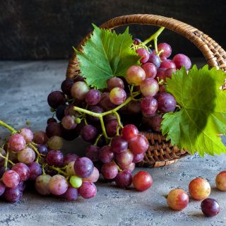 Tất tần tật những thông tin thú vị về quả nho