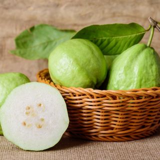 Trái ổi và những thông tin thú vị về công dụng khi thưởng thức