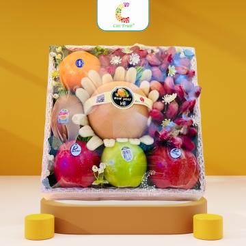 Hộp Trái Cây Quà Tặng HC39
