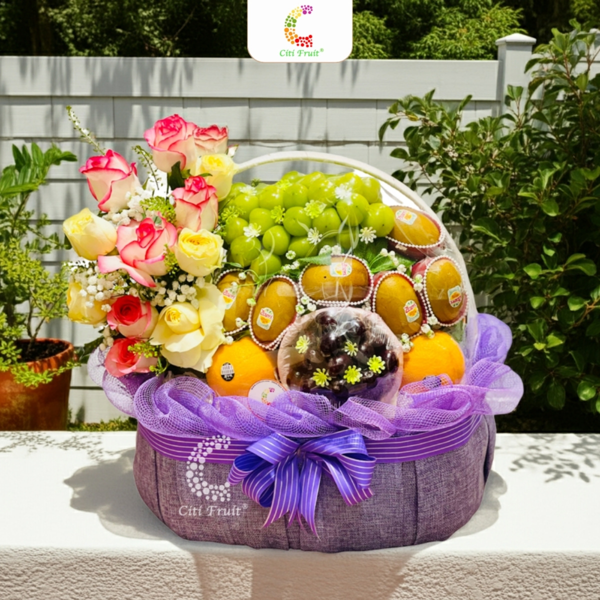 Giỏ Trái Cây Quà Tặng CH22