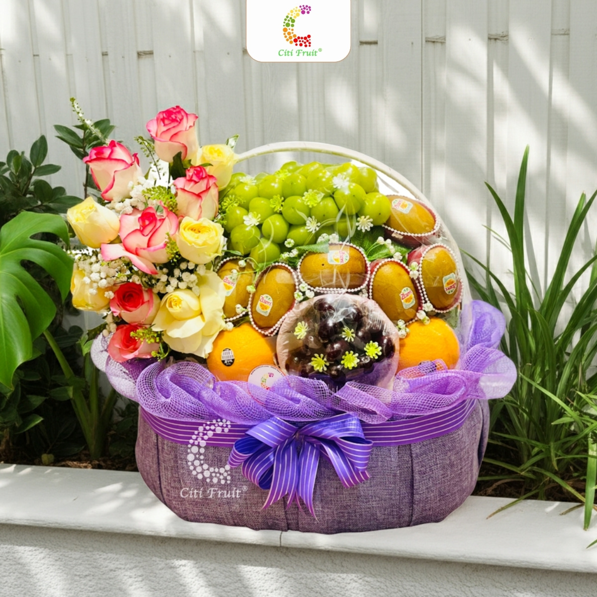 Giỏ Trái Cây Quà Tặng CH22
