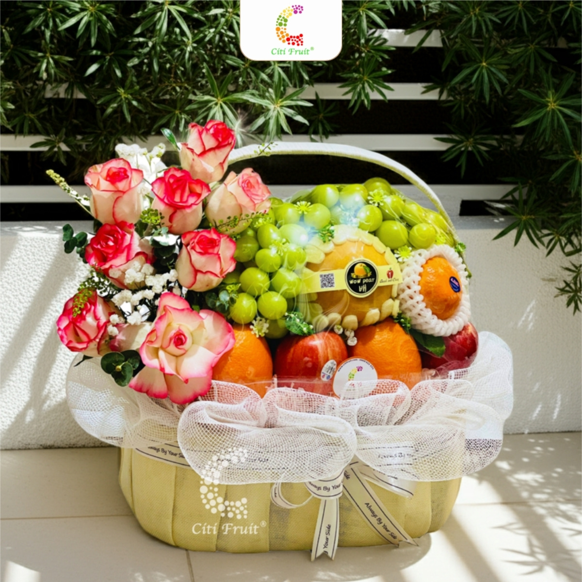 Giỏ Trái Cây Quà Tặng CH26