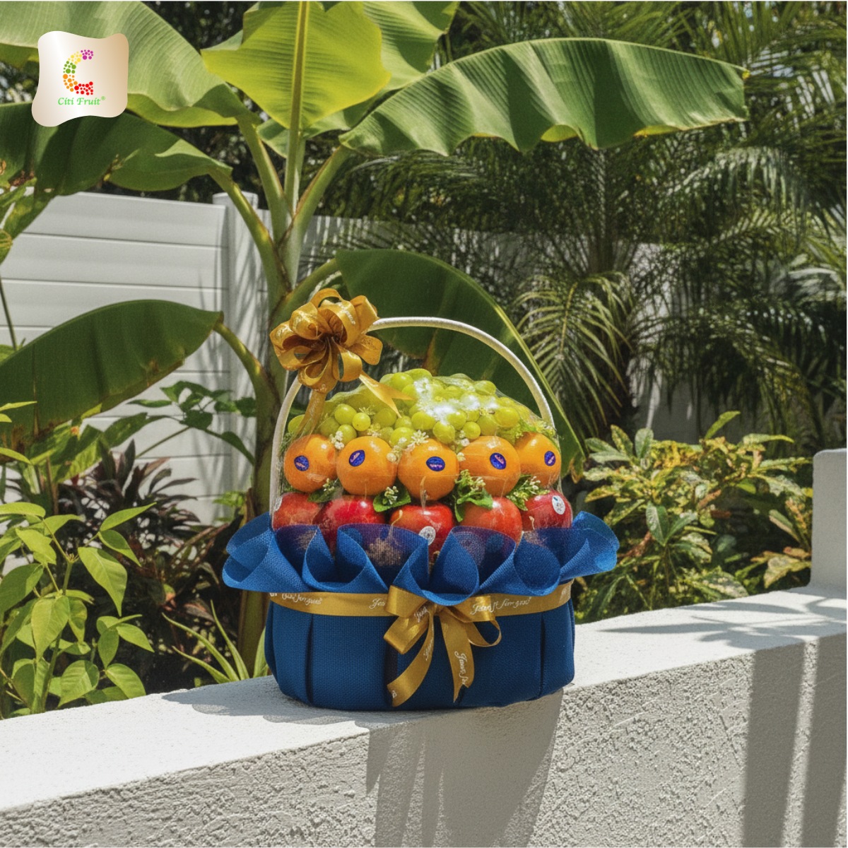 Giỏ Trái Cây Cao Cấp CT15