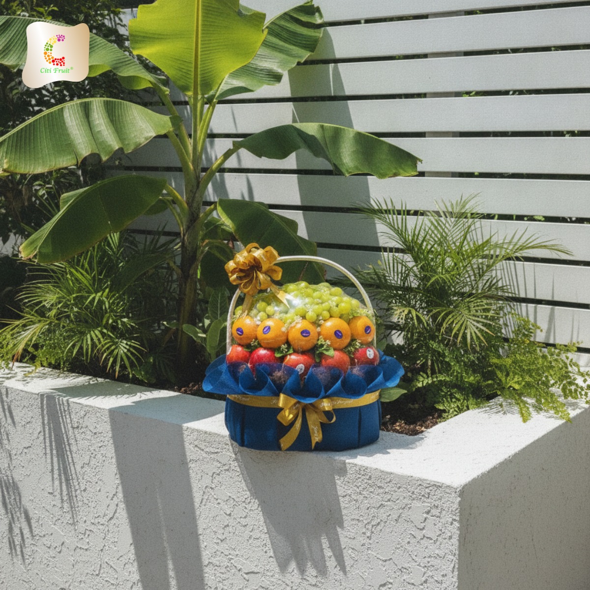 Giỏ Trái Cây Cao Cấp CT15