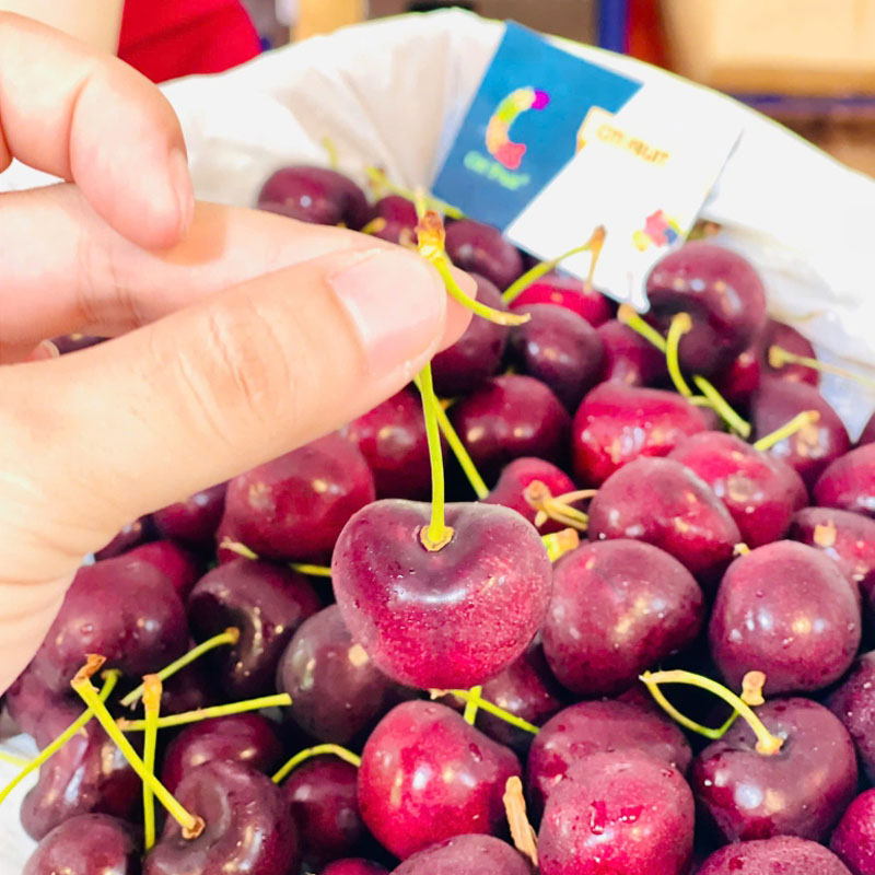 Trái Cây Nhập Khẩu