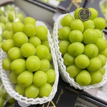 Nho mẫu đơn Shine Muscat Hàn Quốc