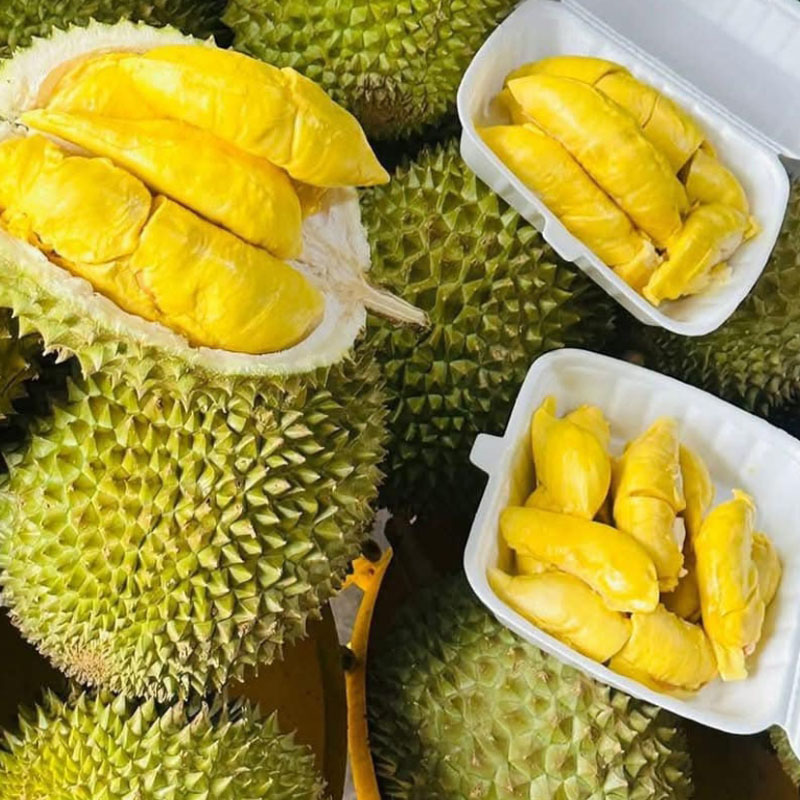 Sầu Riêng Musang King