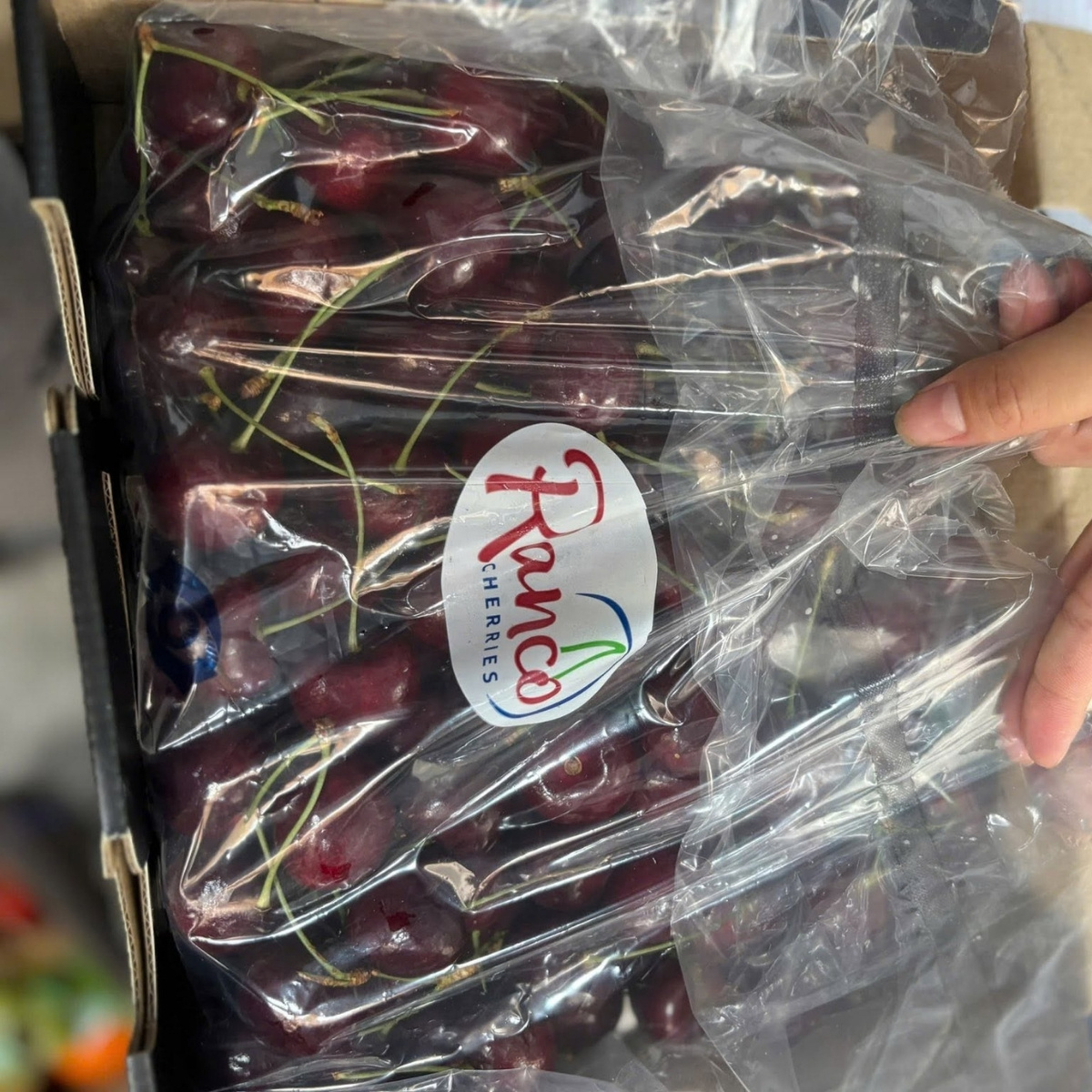 Cherry Chile