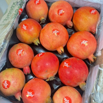 Lựu Đỏ Ấn Độ