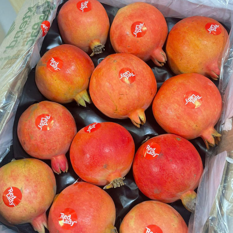 Lựu Đỏ Ấn Độ