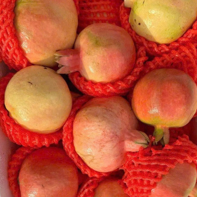 Lựu Tứ Xuyên