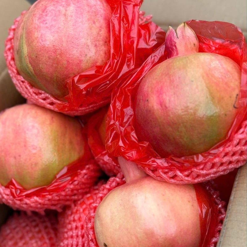 Lựu Tứ Xuyên