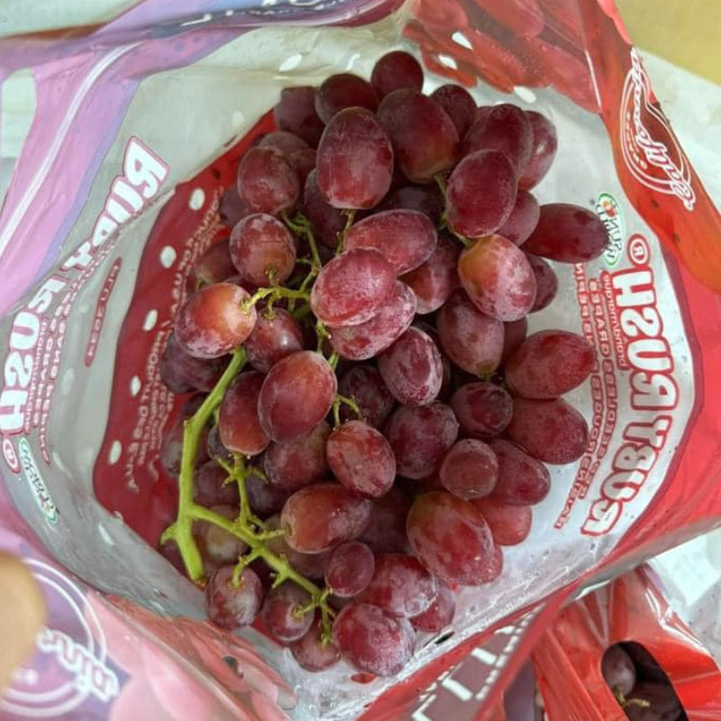 Nho Đỏ Không Hạt Mỹ