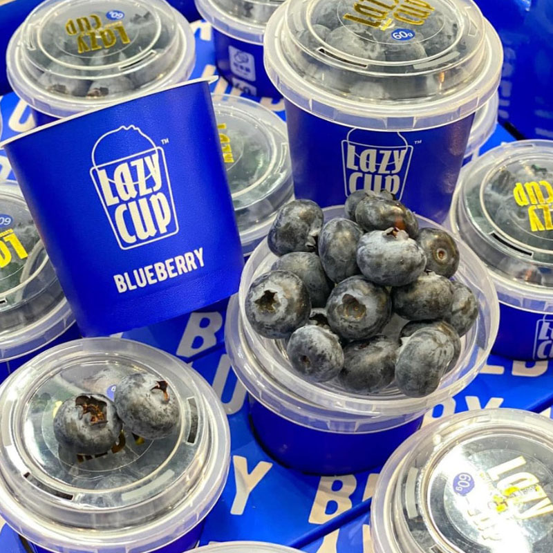 Việt Quất LazyCup