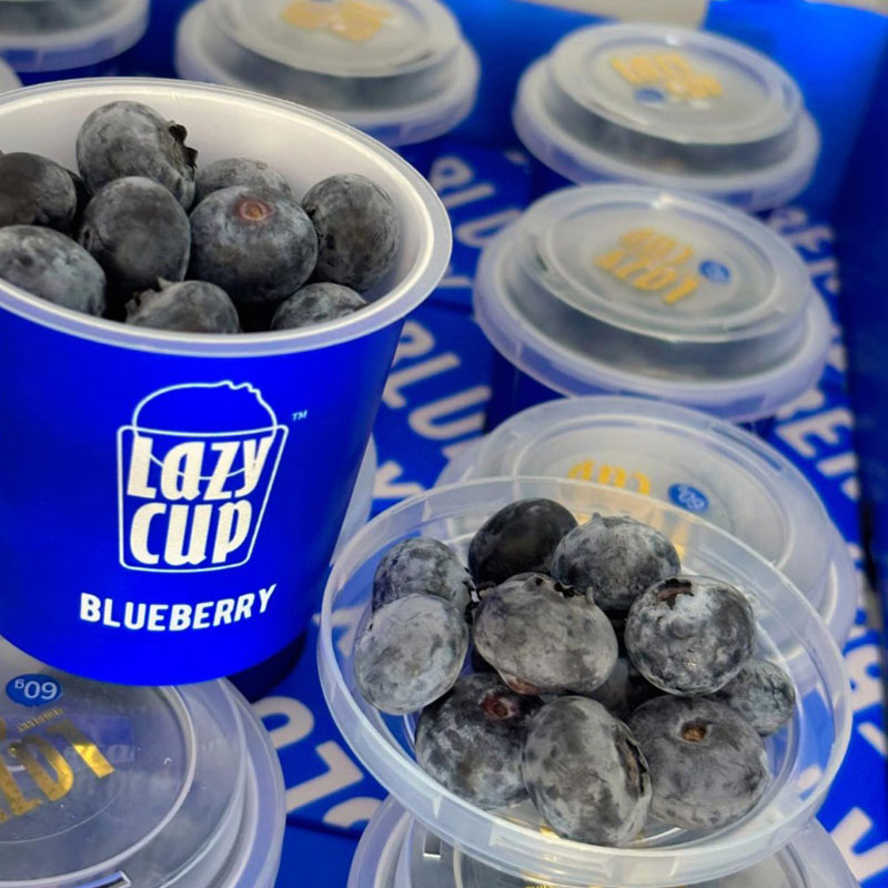 Việt Quất LazyCup