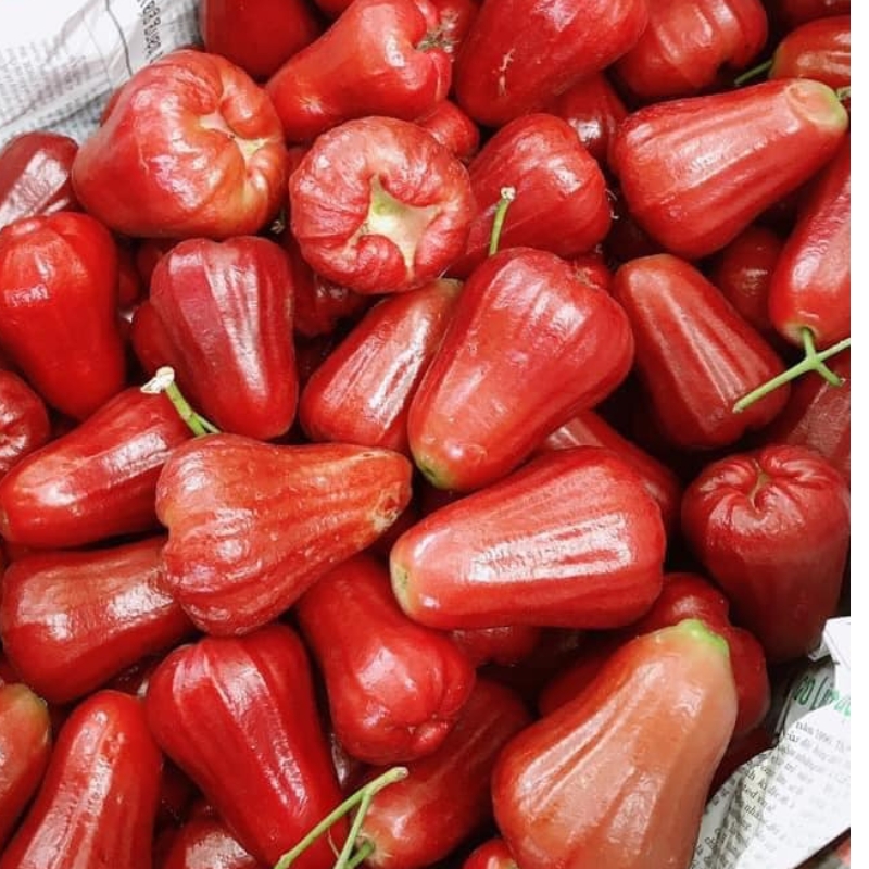 Mận An Phước