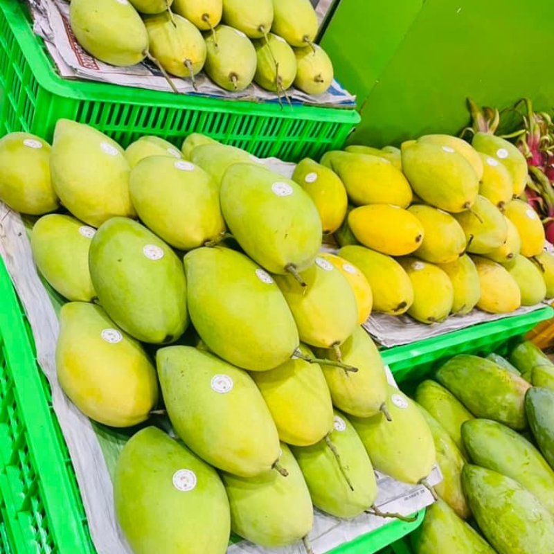 Xoài Cát Hòa Lộc Loại 1 – Thơm Ngon, Tươi Mỗi Ngày, Giao Siêu Tốc