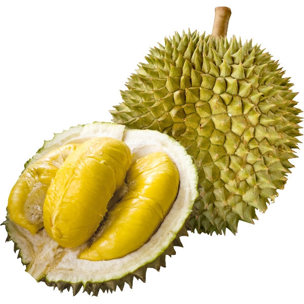 Sầu Riêng Musang King Thơm Ngon Sánh Mịn