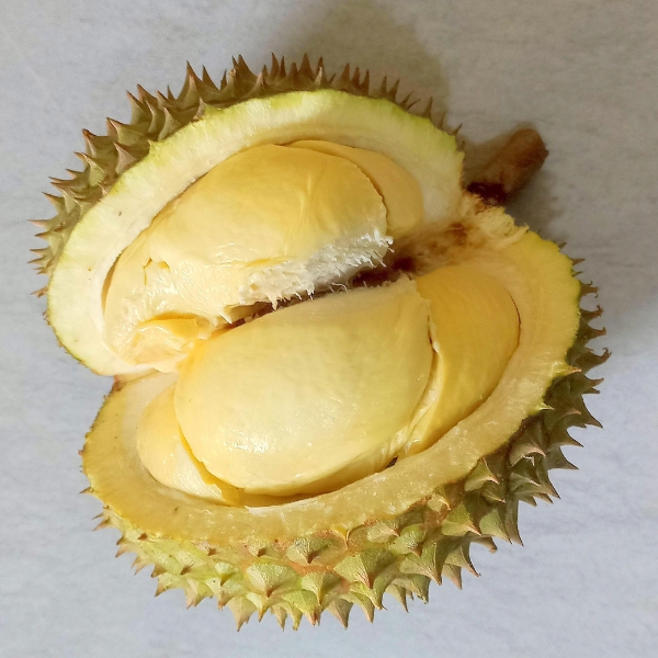 Sầu Riêng Musang King Thơm Ngon Và Chất Lượng