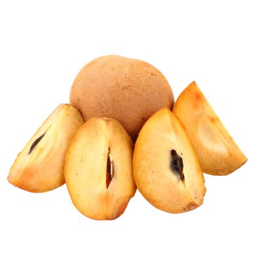 Công dụng của trái hồng xiêm (sapoche) và những câu hỏi thường gặp