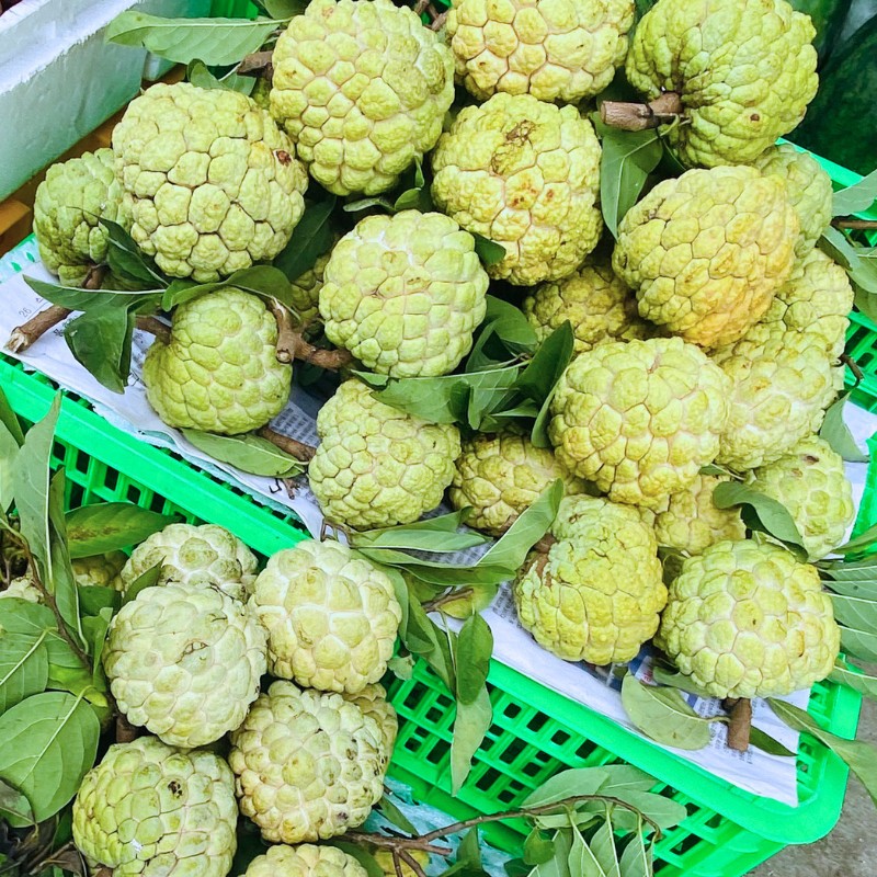 Mãng Cầu Na
