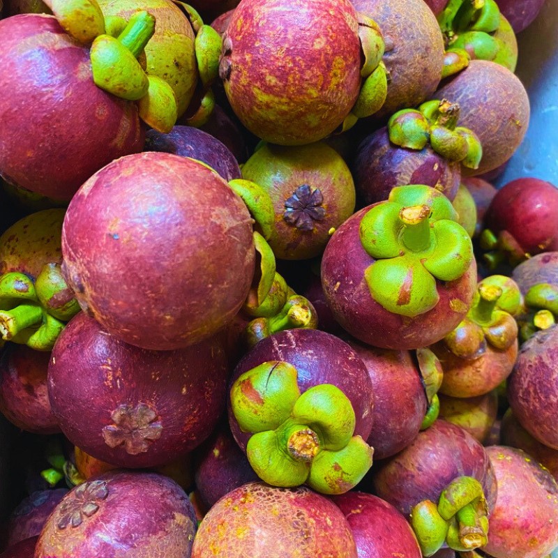Măng Cụt