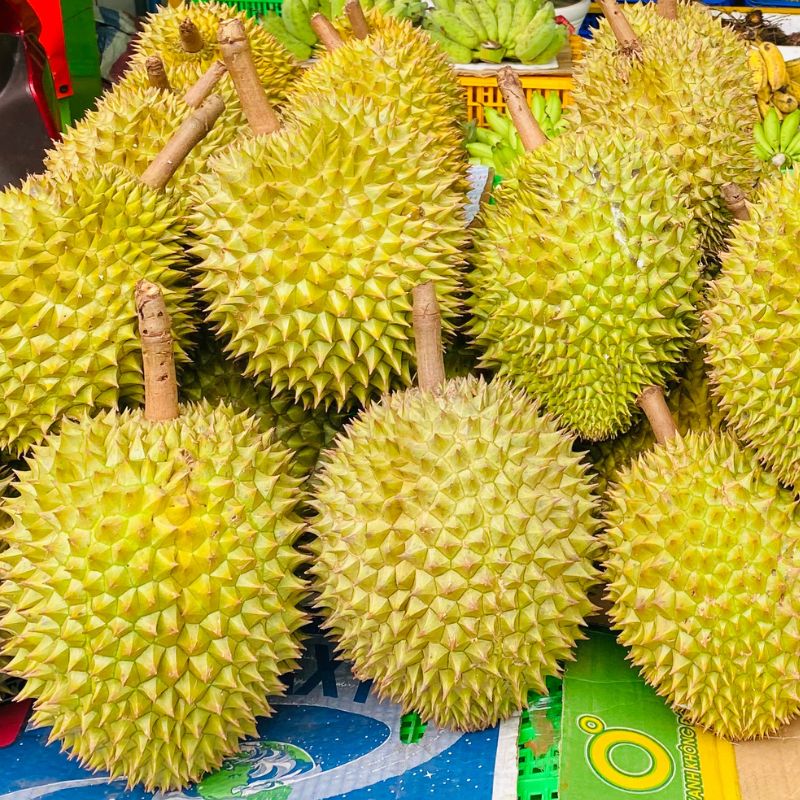 Sầu Riêng
