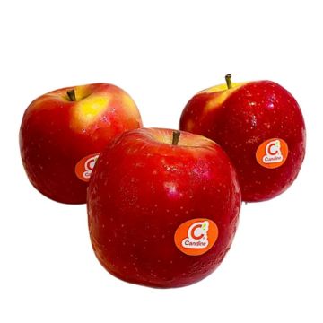 Táo đỏ là gì? Dinh dưỡng, lợi ích của trái táo đỏ