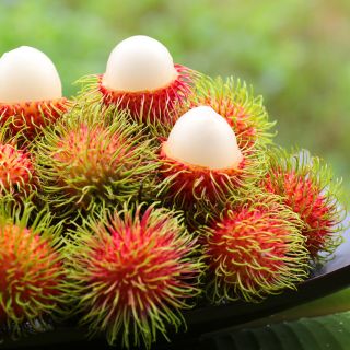 Những thông tin thú vị về trái chôm chôm - nông sản Việt đầy thơm ngon