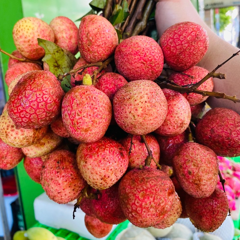 Vải Thiều Lục Ngạn