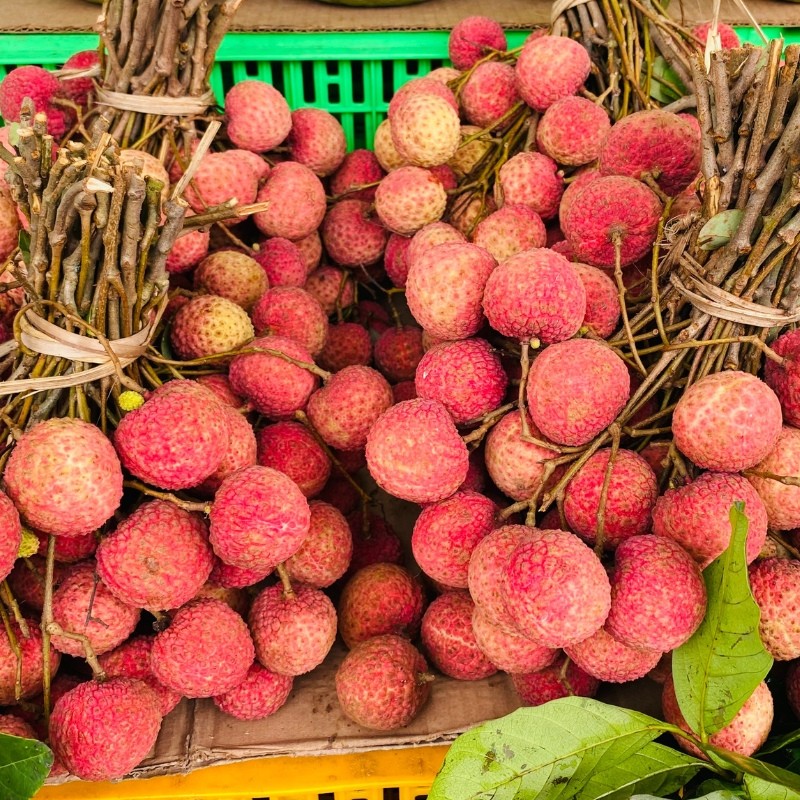 Vải Thiều Lục Ngạn